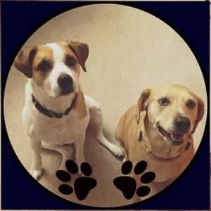 Meet your Posher, Jan